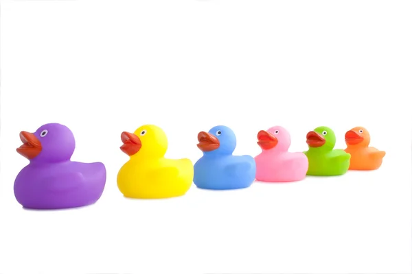 Colourfull rubber ducks — Stock Photo, Image