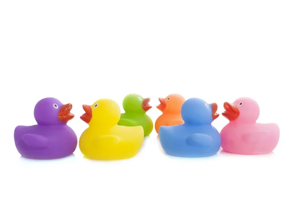 Six rubber ducks — Stock Photo, Image