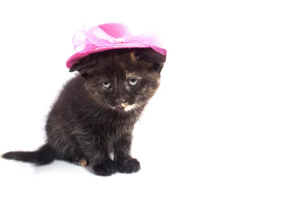 Gatito negro con sombrero — Foto de Stock