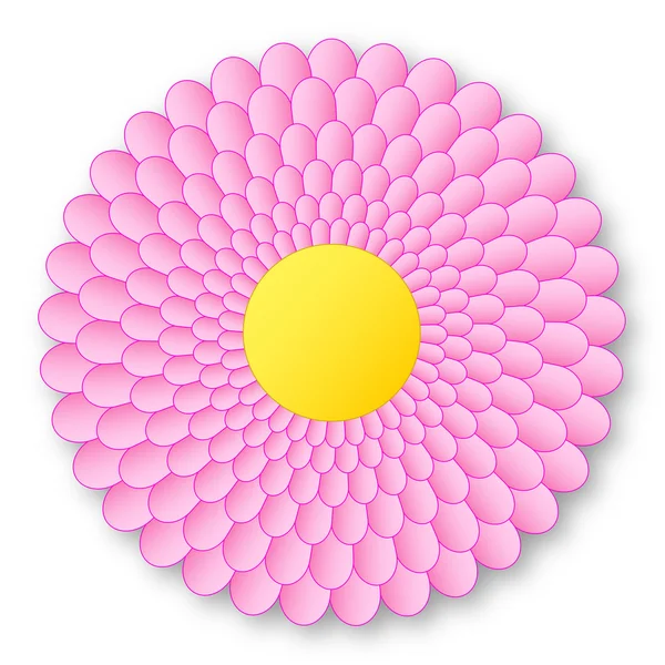 Precioso florero rosa con centro amarillo y con sombra sobre fondo blanco — Foto de Stock