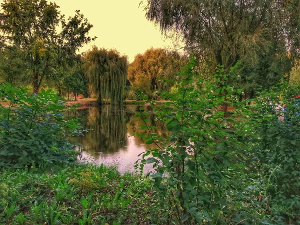 Hermosa Vista Del Lago Puesta Sol Parque — Foto de Stock