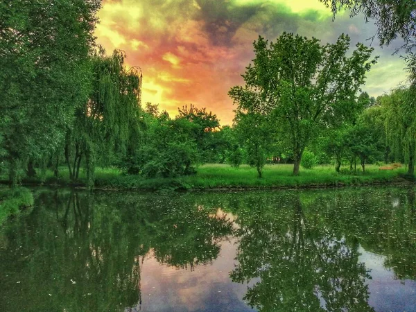 Puesta Sol Lago Encantadora Vista Hermosa Naturaleza Verano — Foto de Stock