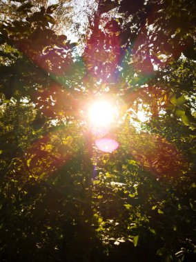 Gün batımında güzel bir yürüyüş.