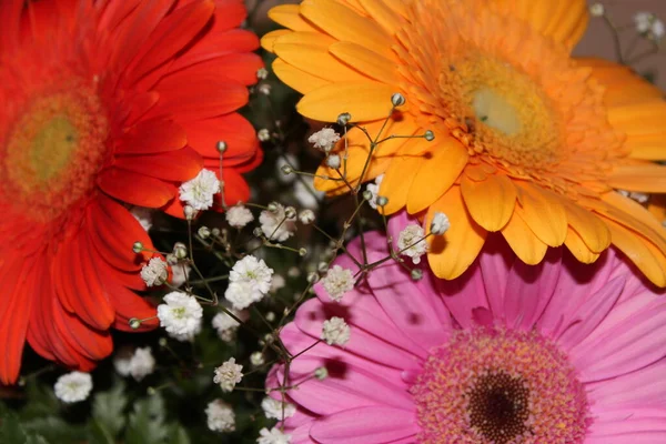 Üç gerberadan bir buket çiçek.