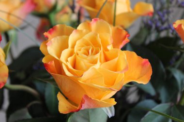 Parlak güzel gül buketi