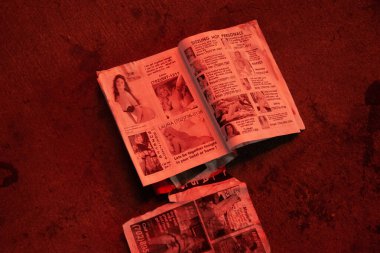 Las Vegas 'ta yerde porno gazeteleri