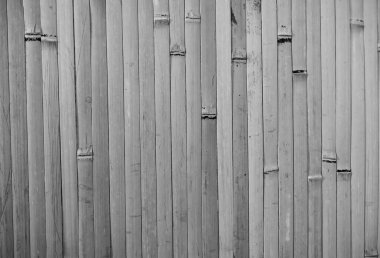 siyah ve beyaz bambu arka plan