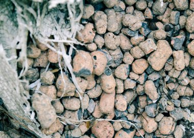 Expanded Clay Aggregate. Close-up with Shallow Depth of Field.  clipart