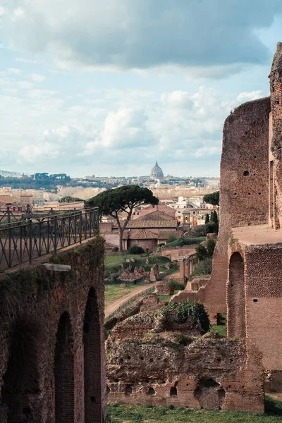 Veduta Sulla Cattedrale San Pietro Roma Dal Palatino — Foto Stock