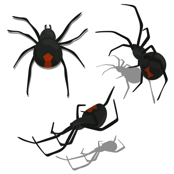 Araignée Veuve Noire Réaliste Trois Positions Illustration Vectorielle Araignée Veuve — Image vectorielle