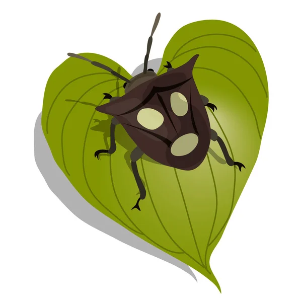 Ρεαλιστική Διανυσματική Απεικόνιση Εντόμων Ασπίδα Βρωμερό Έντομο Στα Φύλλα Σφάλμα — Διανυσματικό Αρχείο
