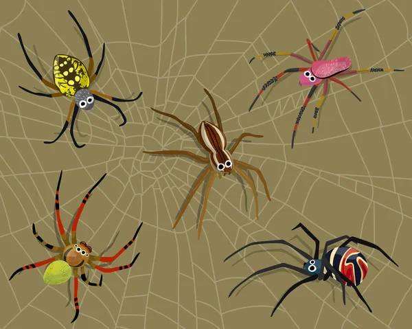 Insekt Spinne Natur Cartoon Und Spinnennetz Hintergrund Animal Biology Graphischer — Stockvektor