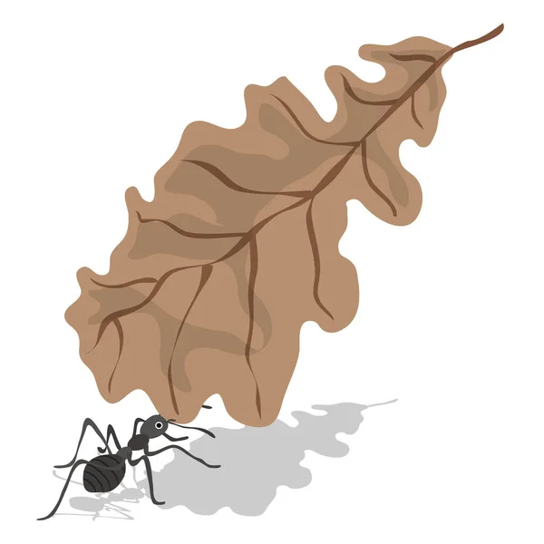Μαύρο Μυρμήγκι Ξερά Φύλλα Ant Φέρει Φύλλο Διανυσματική Απεικόνιση Μεμονωμένο — Διανυσματικό Αρχείο