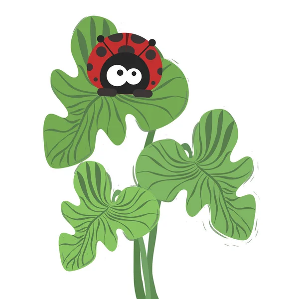 Vermelho Bonito Joaninha Folha Verde Ladybird Insecto Vector Illustrarion Deitado —  Vetores de Stock