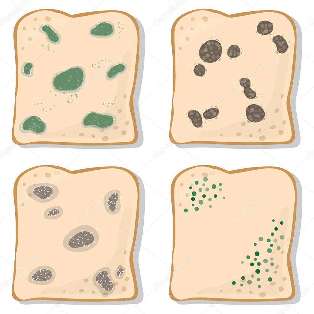 Set of mold on bread vector isolated on white background. 