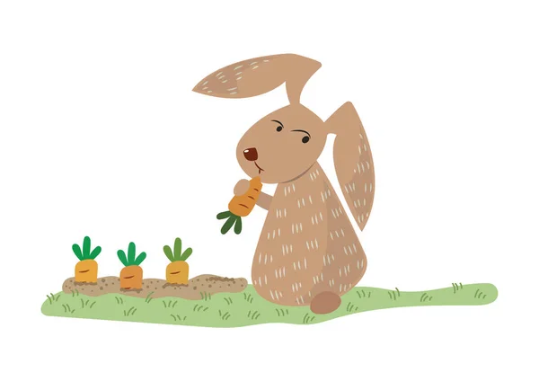 Bunny Eating Carrot Cartoon Vector Illustration Cute Rabbit Carrot Field — Stock Vector