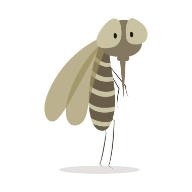Beyaz arka planda izole edilmiş sivrisinek vektör karikatür çizimi. Komik sivrisinek çizgi filmi. Erkek sivrisinek..