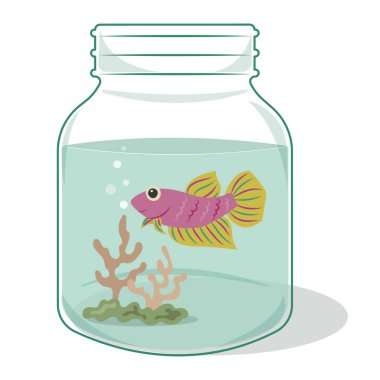 Beyaz arka planda izole edilmiş cam şişe vektör illüstrasyon çizgi filminde dövüşen renkli siyam balıkları. Mor siyam dövüşçü balığı. Beta balık vektörü.