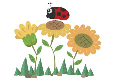 Ayçiçeği ve uğurböceği vektör çizimi. Tatlı uğur böceği ve çiçek çizgi filmi beyaz arka planda izole edilmiş.. 