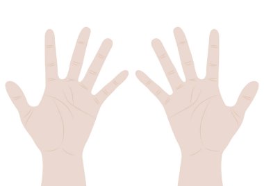 Boş eller beyaz arkaplan vektör illüstrasyonunda izole edilmiş. İnsan eli vektörü. 