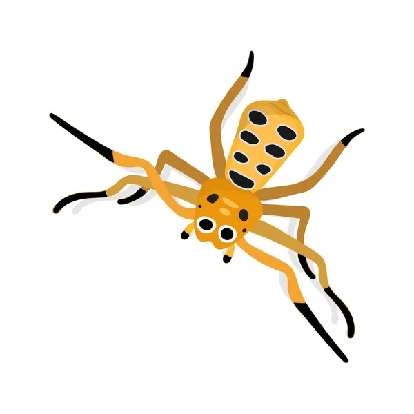 Araña Extraña Colorida Aislada Sobre Fondo Blanco Spider Vector Dibujos — Vector de stock