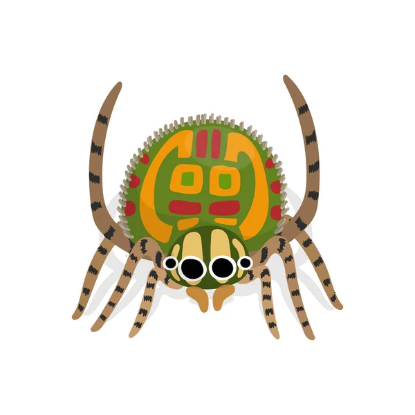 Vreemde Kleurrijke Spin Geïsoleerd Witte Achtergrond Spinnenvector Cartoon — Stockvector