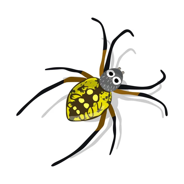 Weird Colorful Spider Isolated White Background Spider Vector Cartoon — Stock Vector