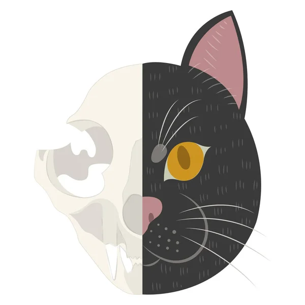 Life Death Schrodinger Cat Vector Illustration Famoso Experimento Mental Schrodinger — Vector de stock