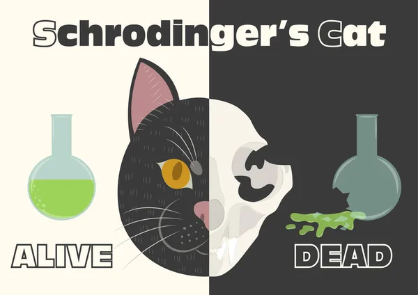 Schrodinger 'in kedi vektör çiziminin yaşamı ve ölümü. Schrodinger 'in ünlü düşünce deneyi. Yarı canlı yarı ölü kedi. Yarım kafatası, yarım kedi yüzü..