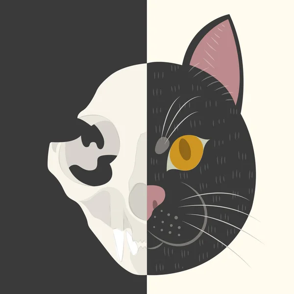 The life and death of Schrodinger's cat vector illustration. Schrodinger's famous thought experiment. Half alive half dead cat. Half skull half face of cat. — Stock Illustration Life Death Schrodinger Cat Vector Illustration Schrodinger Famous Thought Experiment Royalty Free Stock Illustrations