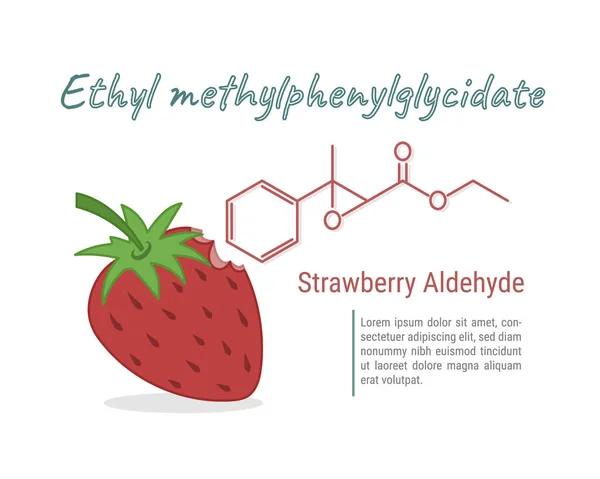 草莓醛化学味道和香味的草莓病媒说明 乙基甲基苯基甘氨酸信息图 草莓味有机化合物 — 图库矢量图片