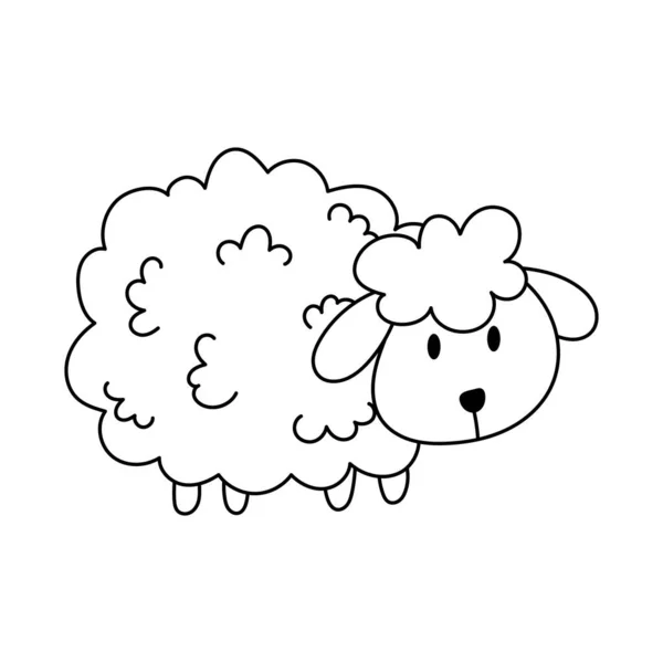 Illustration Vectorielle Moutons Dessin Animé Animal Ferme Agneau Mignon Dessin — Image vectorielle