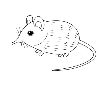 Elephant shrew vector cartoon colorless for coloring book. Long nose shrew cartoon. Weird mouse vector cartoon isolated on white background. Rare animal.  clipart