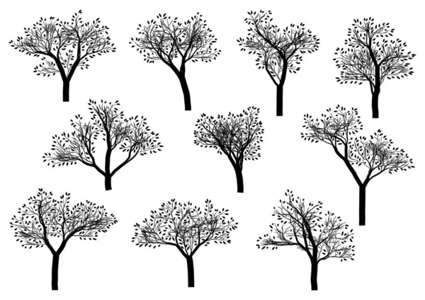 Ilustração Vetorial Silhuetas Negras Árvores — Vetor de Stock