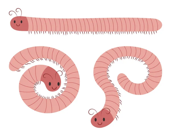 Ilustrasi Vektor Kartun Millipedes Yang Lucu - Stok Vektor