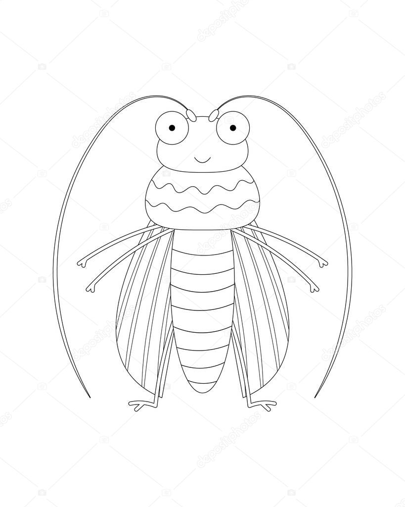 Striped Beetle  colorless vector illustration