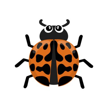 Turuncu Asya uğur böceği vektör çizimi