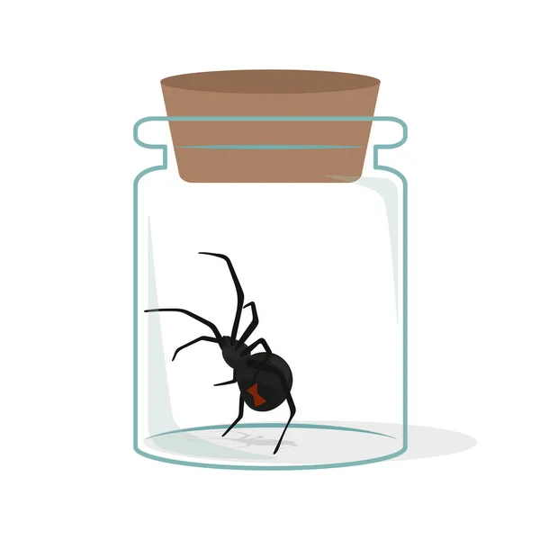 Vektor Illustration Der Seltsamen Spinne Glasflasche — Stockvektor