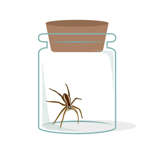 Διανυσματική Απεικόνιση Της Περίεργης Αράχνης Γυάλινη Φιάλη — Διανυσματικό Αρχείο