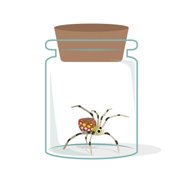 Vektor Illustration Der Seltsamen Spinne Glasflasche — Stockvektor