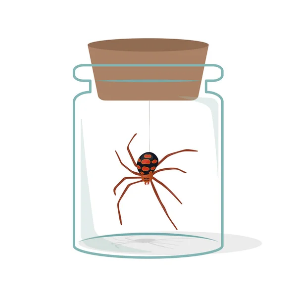 Vektor Illustration Der Seltsamen Spinne Glasflasche — Stockvektor