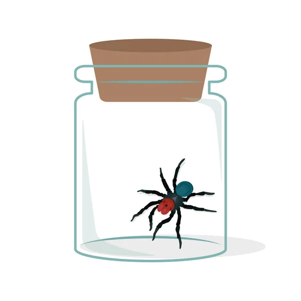 Vektor Illustration Der Seltsamen Spinne Glasflasche — Stockvektor