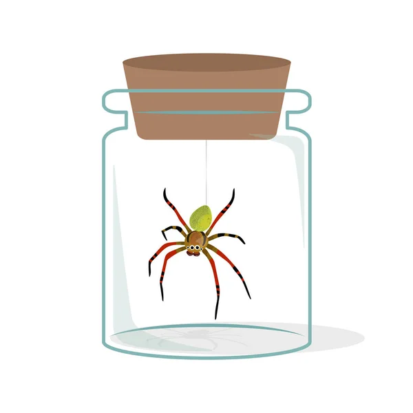 Vektor Illustration Der Seltsamen Spinne Glasflasche — Stockvektor