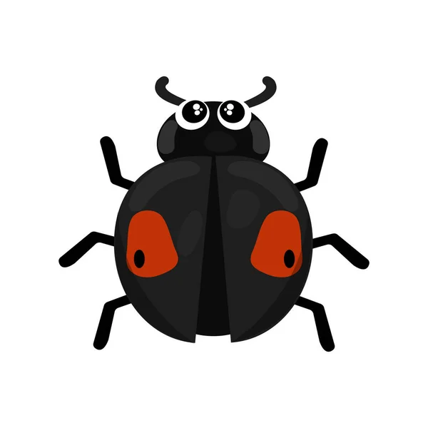 Kidney Spot Ladybird Icon Vector Illustration — Stock Vector