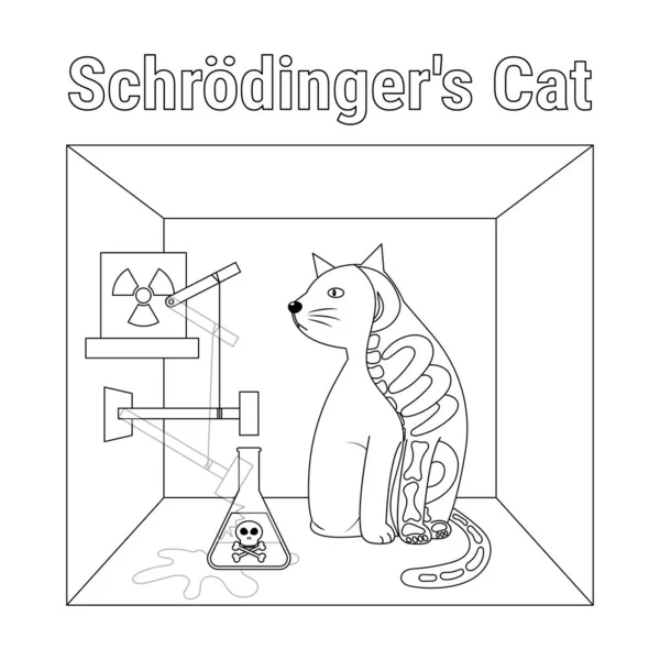Schrodingers Cat in Box farblose Vektorillustration — Stockillustration Schrodingers Cat Box Farblose Vektorillustration — Stockvektor
