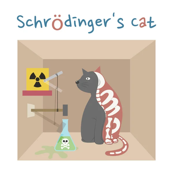 Schrodingerlar Karton Kutuda Kedi