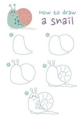 Salyangoz vektör çizimi nasıl çizilir