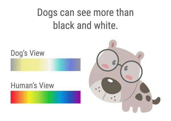 Векторная Иллюстрация Спектра Цветов Собак — стоковый вектор