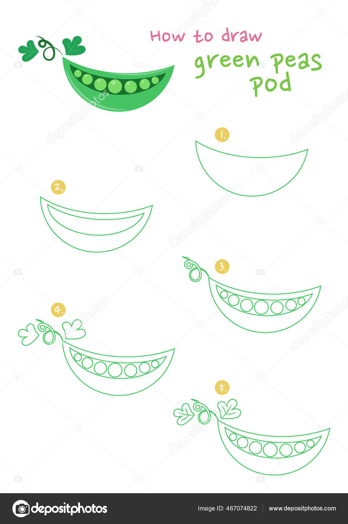 Vector hand drawn sketch green peas - Stock Illustration [59283257] - PIXTA