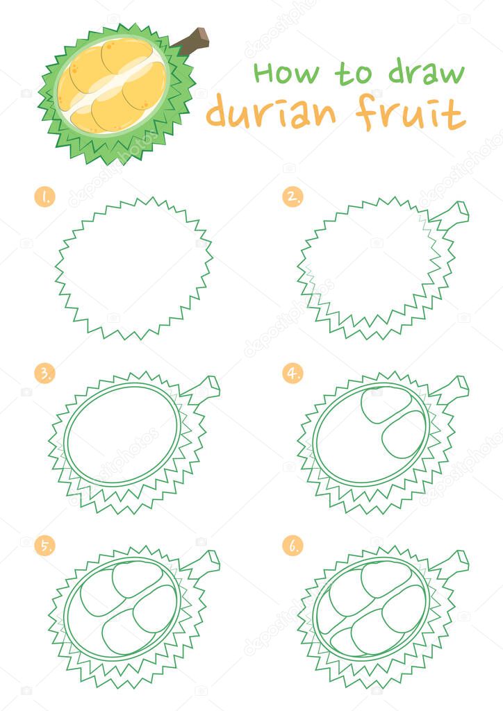 How to draw Durian fruit vector illustration. Draw a Durian fruit step by step. Durian fruit drawing guide. Cute and easy drawing guidebook.